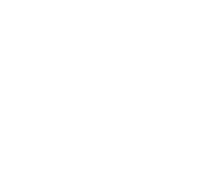 Mariposa Wall Plaster logo.